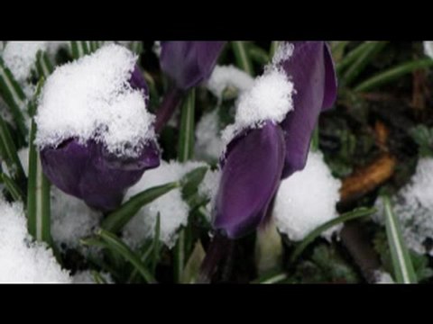 LUMINITA SOARE- CANTIND PRIN ZAPADA/ CANTIND IN PLOAIE