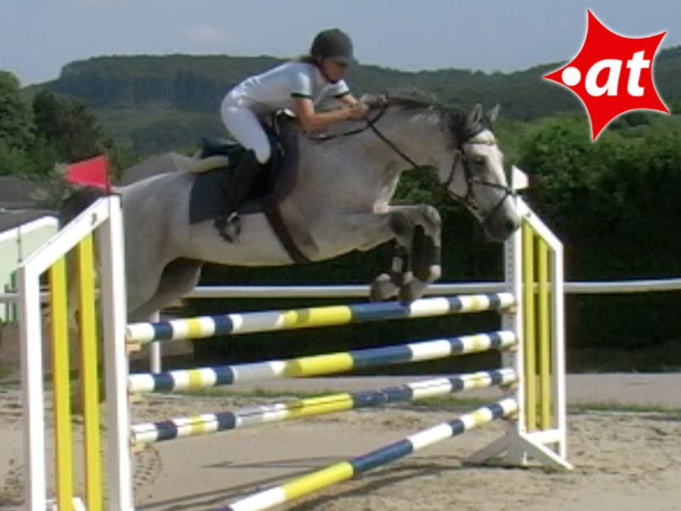 Sandra Guo, Springreiten, Laab im Walde (2008-105)