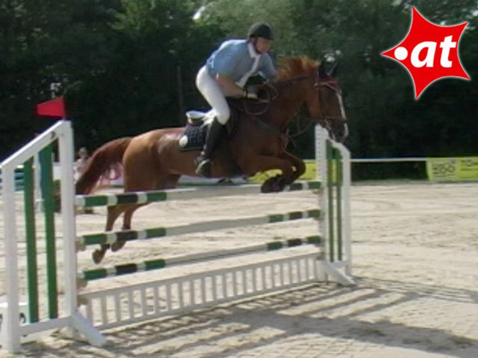 Andreas Sirninger, Springreiten, Laab im Walde (2008-106)