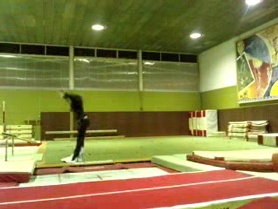Lucie Qui Fait du Trampoline 1 Pas de modification (en cour)