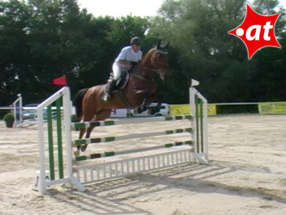 Peter Rieglhofer, Springreiten, Laab im Walde (2008-111)