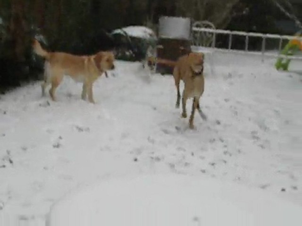 Atos, Thorgal, Chipie et petit Fitz.