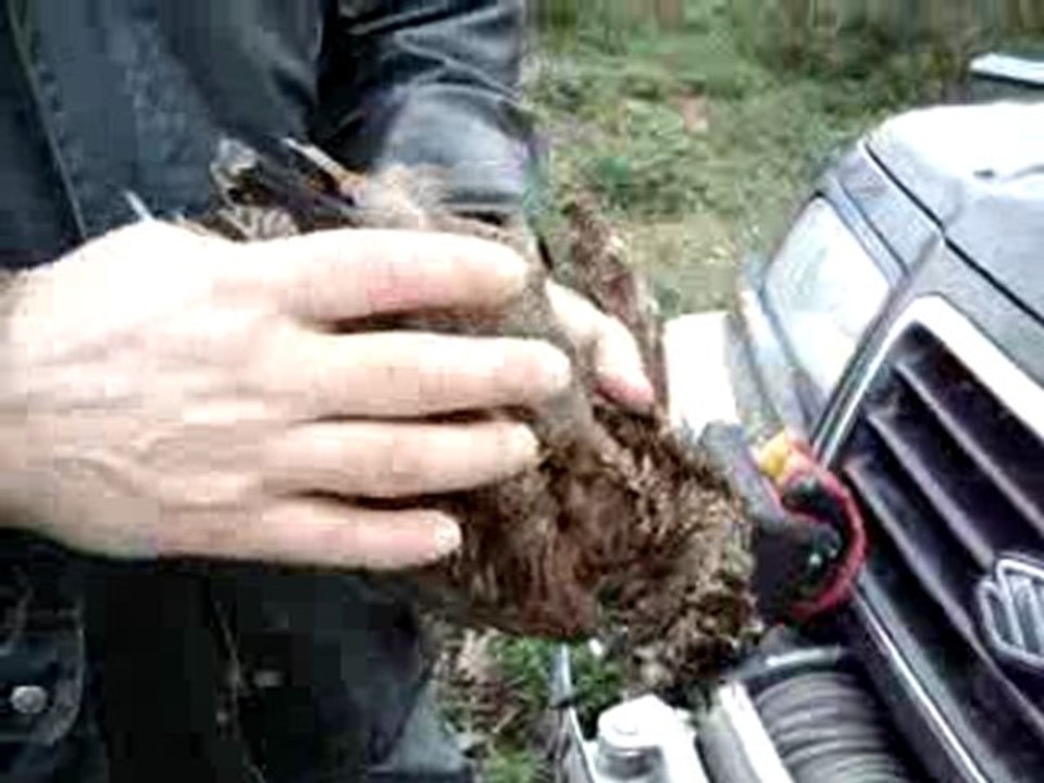 MOV07667
