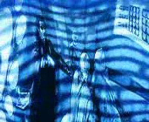 dobermann fin de cristini !!