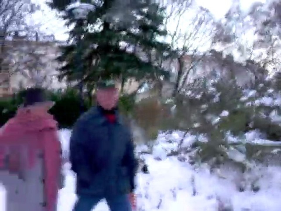 Ski de fond parc Victor Thuillat Limoges  dec 2009