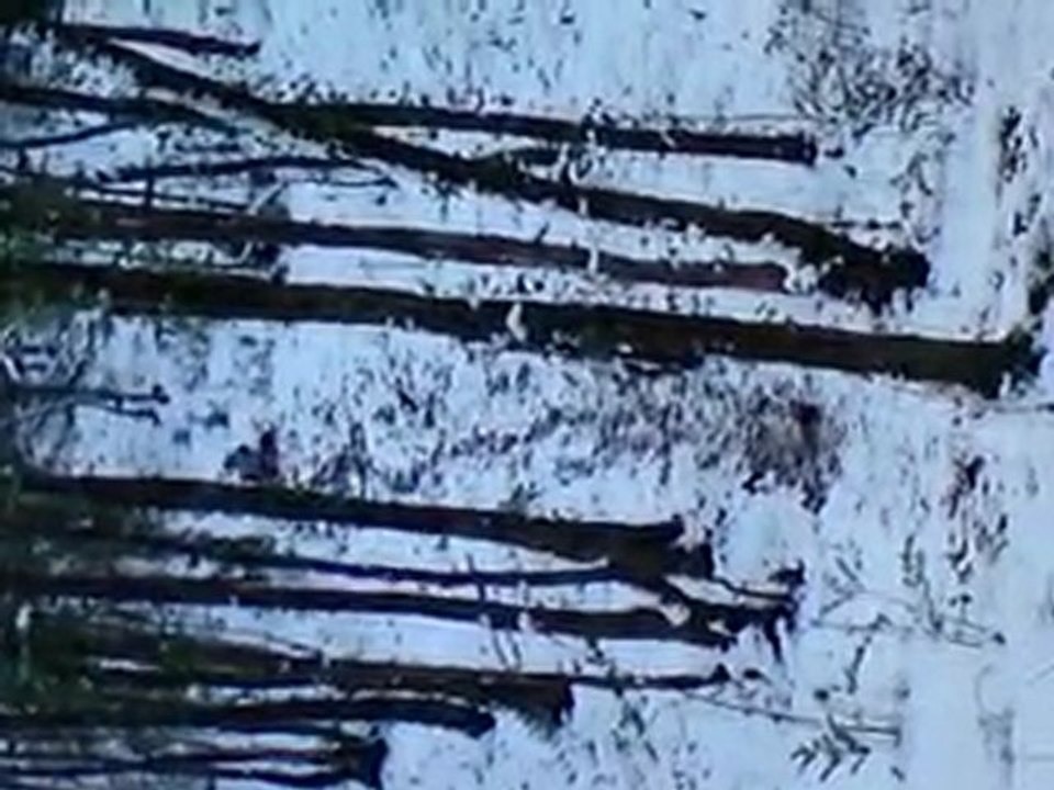 MOV00128