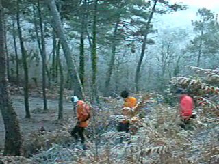 zoréol12-12-2009 010