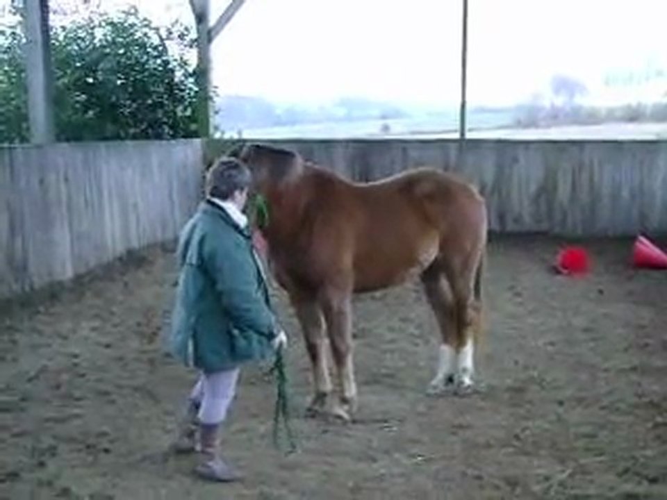 MOV03484