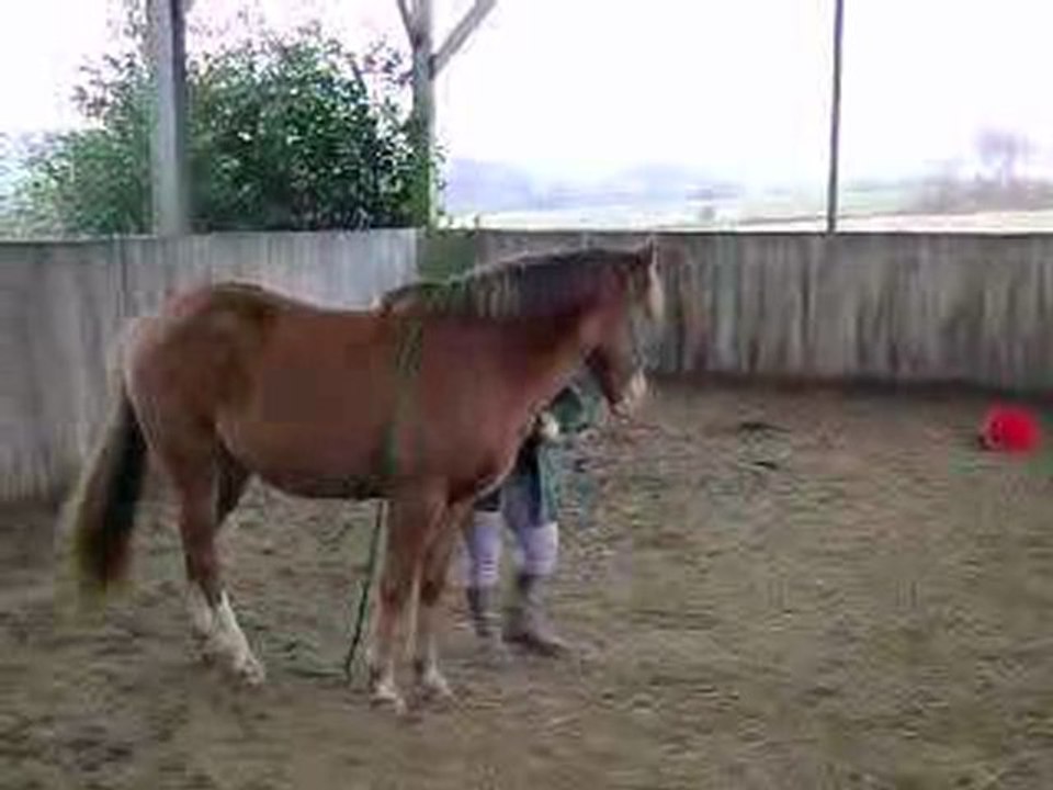 MOV03486