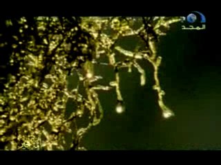 salafi minhaj.hadith.oummah.