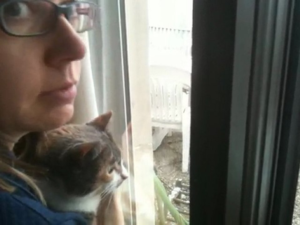 Neige à Bourg la reine - Nieve a Bourg la Reine