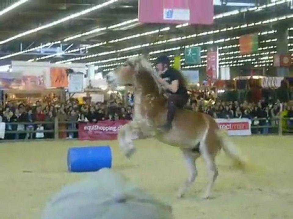 Salon du cheval 13 Décembre 2009