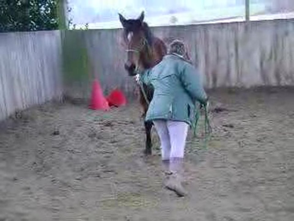 MOV03497