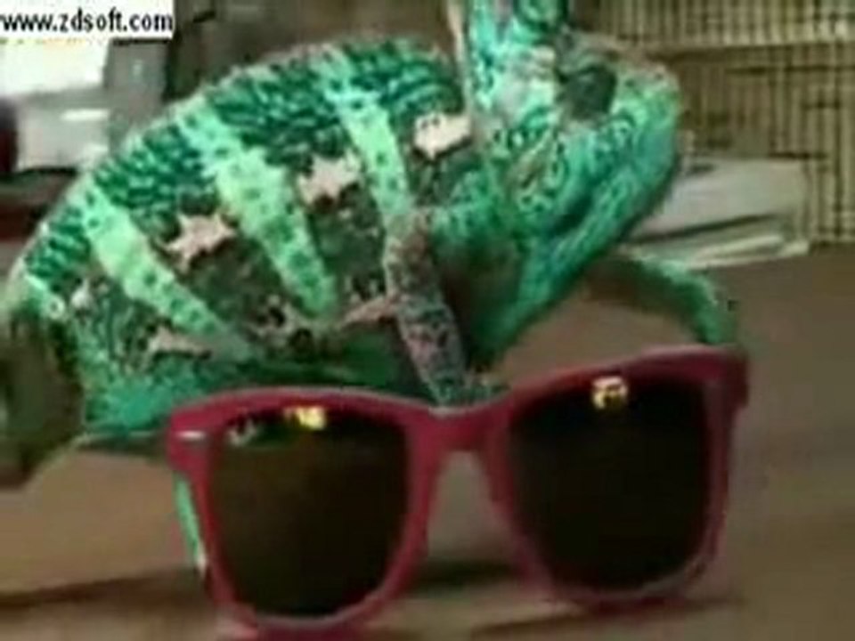 سبحان الله    سبحان الله
