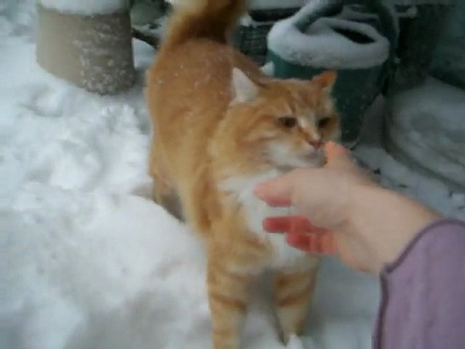 Azraël et Grumeau dans la neige