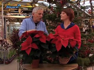 "Du côté d'Ici" et les mystères de Noël (19/12/2009)