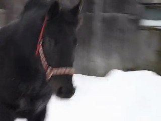 MA BELLE ATHÉNA EN VIDÉOO !!