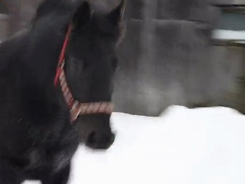 MA BELLE ATHÉNA EN VIDÉOO !!