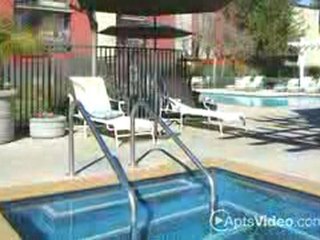 Springhouse Apartments in Pleasanton, CA-ForRent.com
