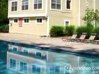 Birch Grove Apartments in Decatur, GA-ForRent.com
