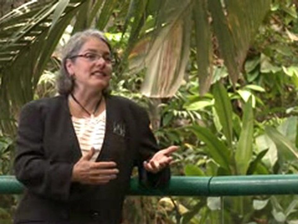 Montréal Biodome - Québec, Canada