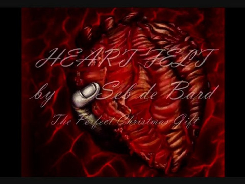 Christmas' SEXY Christmas Gift HEART FELT Seb de Bard Spicy Hot Xmas Gift on Christmas Day 2011