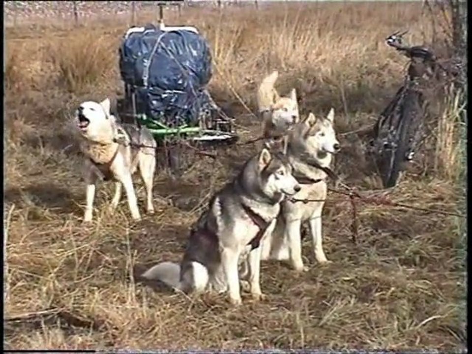 Traversée du Jura avec des chiens de traineau 1ere partie