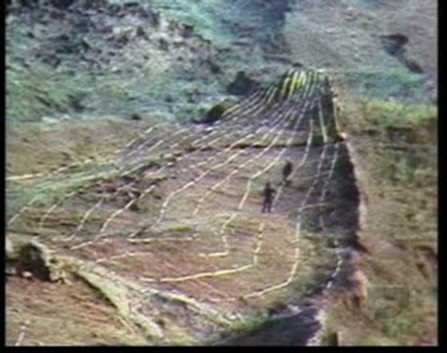 Arche de Noé retrouvée - 2 - Archives Oubliées