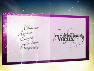 Bonne année 2010
