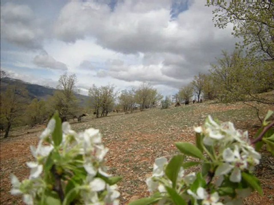 sorkun kasabası bahar ve  güz