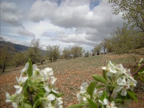 sorkun kasabası bahar ve güz