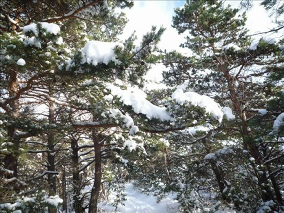 Petite balade dans la neige (Drôme Centre 26)