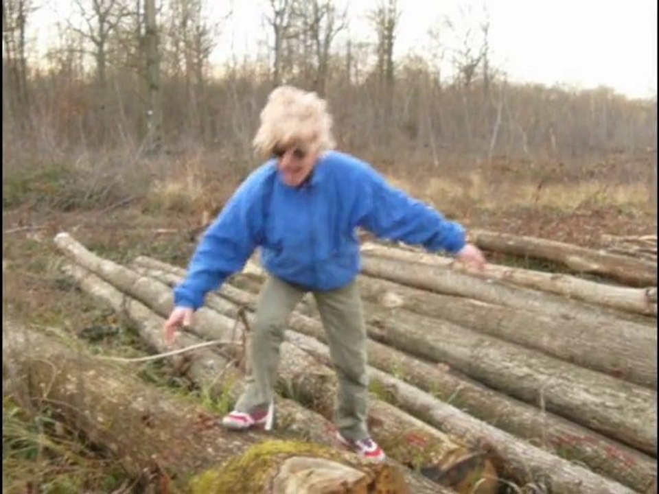 Monsieur Georges 17 : Le bûcheron