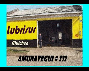 cartones diciembre2009 - enero2010