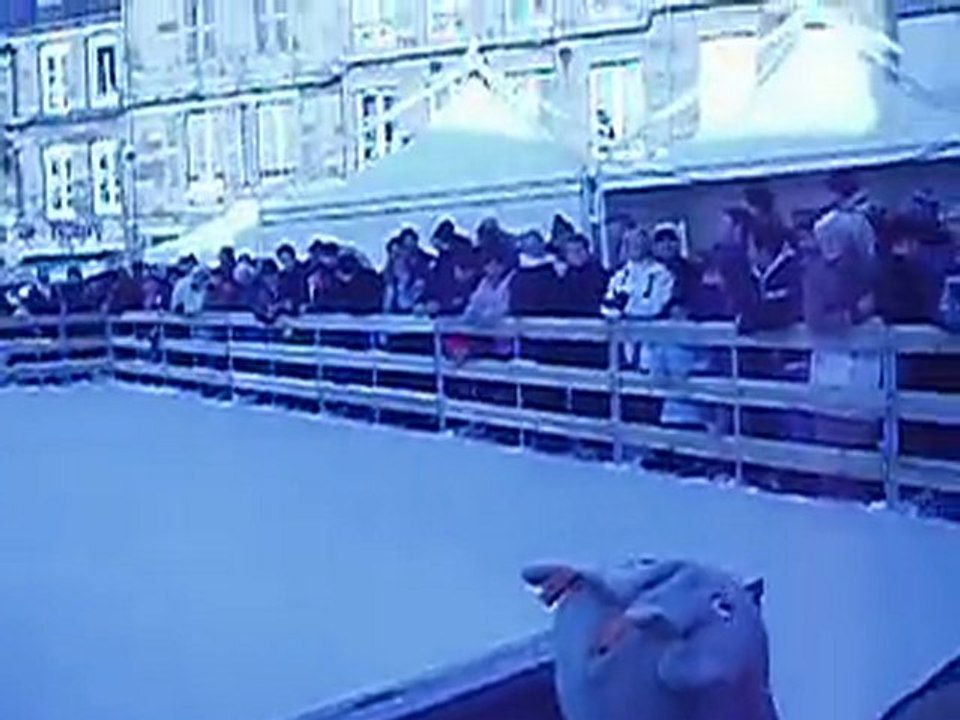 FILM1  l'inauguration