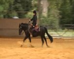 A beginner's guide to reining (TRAILER)