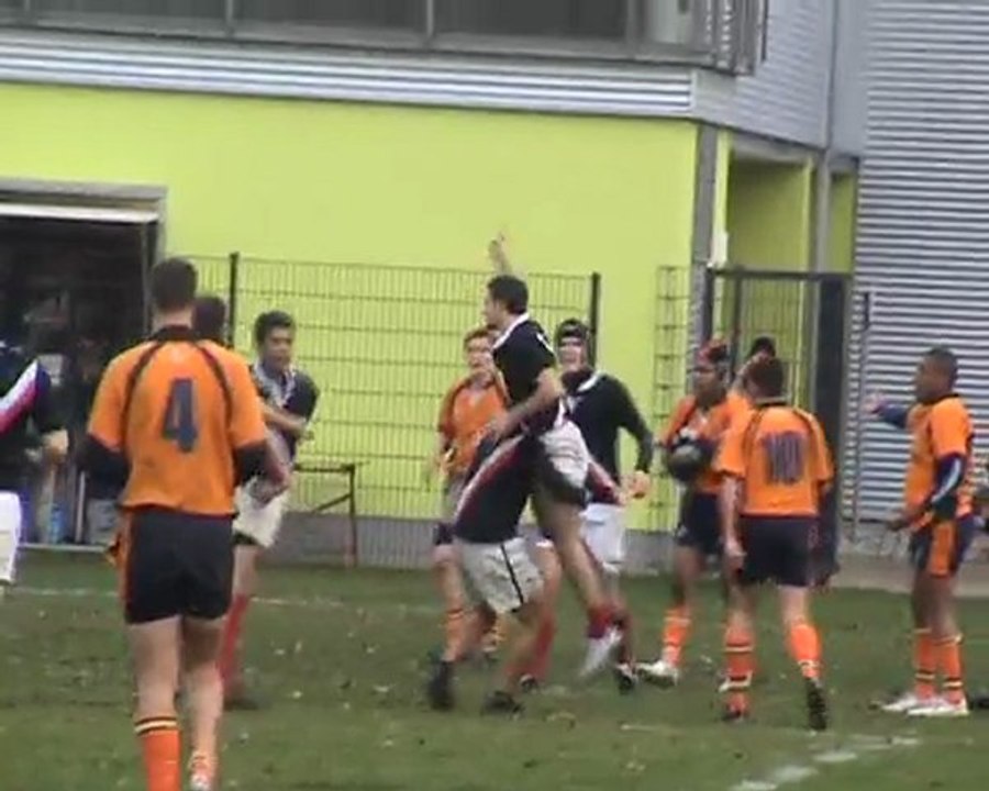 Storcks and Frog - the relationship