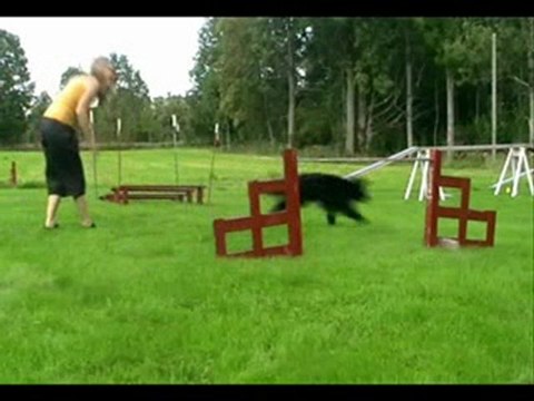 just some agility from 2009