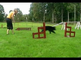 just some agility from 2009