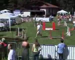 2010 !...... Année MOVE IT MOVE IT pour tous