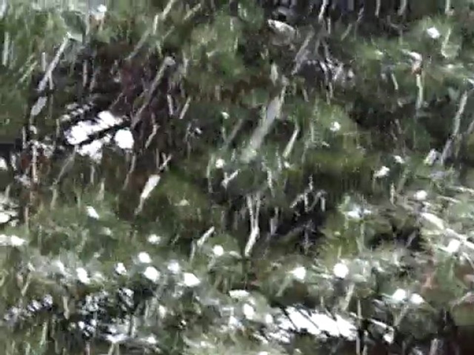 tombe la neige 20.12.09