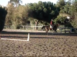 Pinedarra & Mallaury - Détente au galop