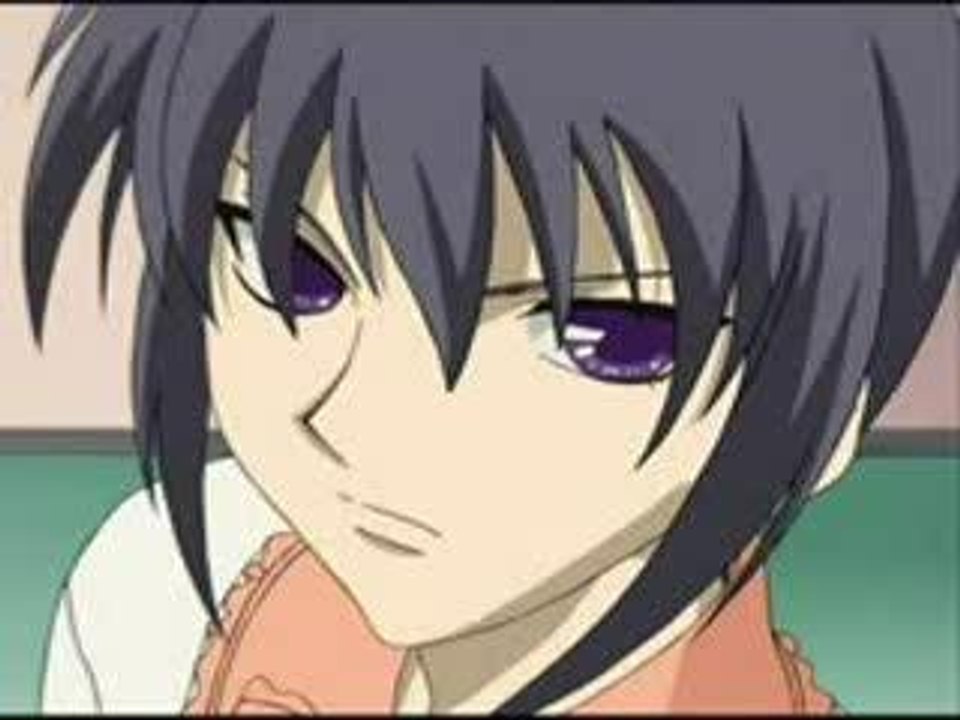 Fruits Basket (5)