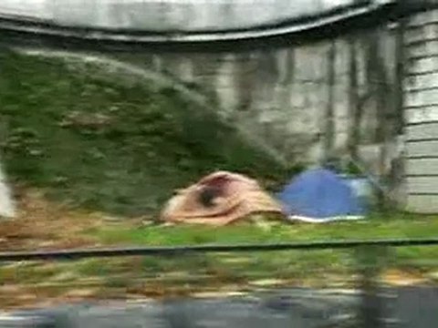 Les Enfants de Don Quichotte, dans la rue et sur Dailymoti