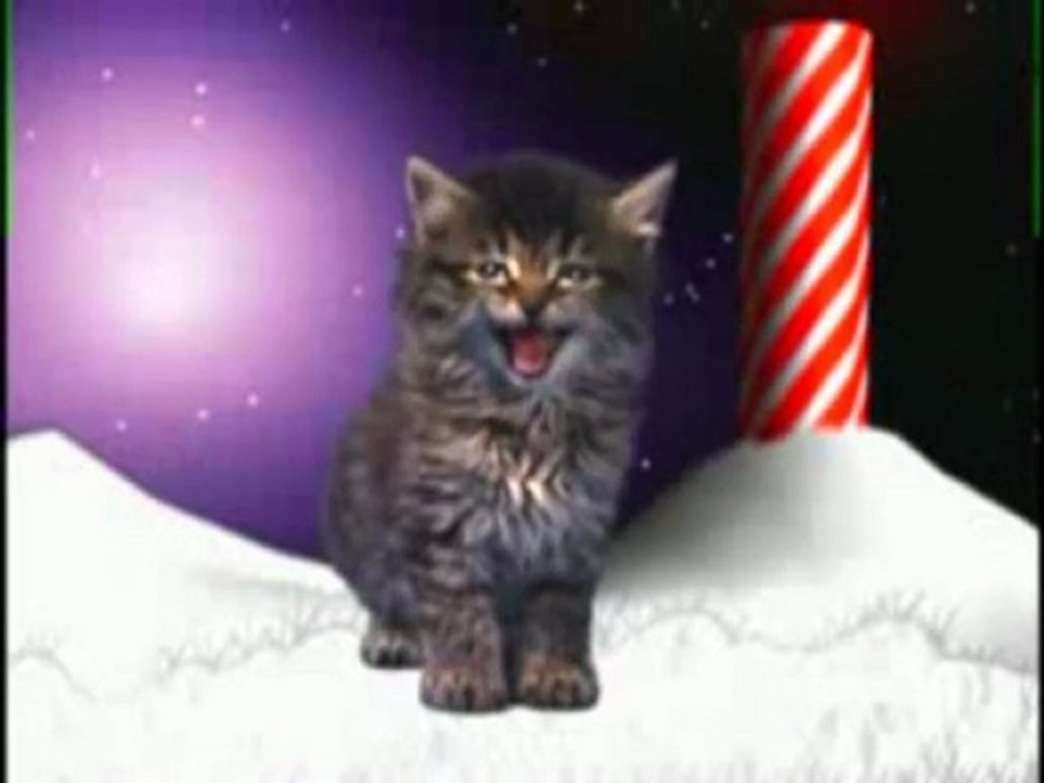 Joyeux Noêl Miaou
