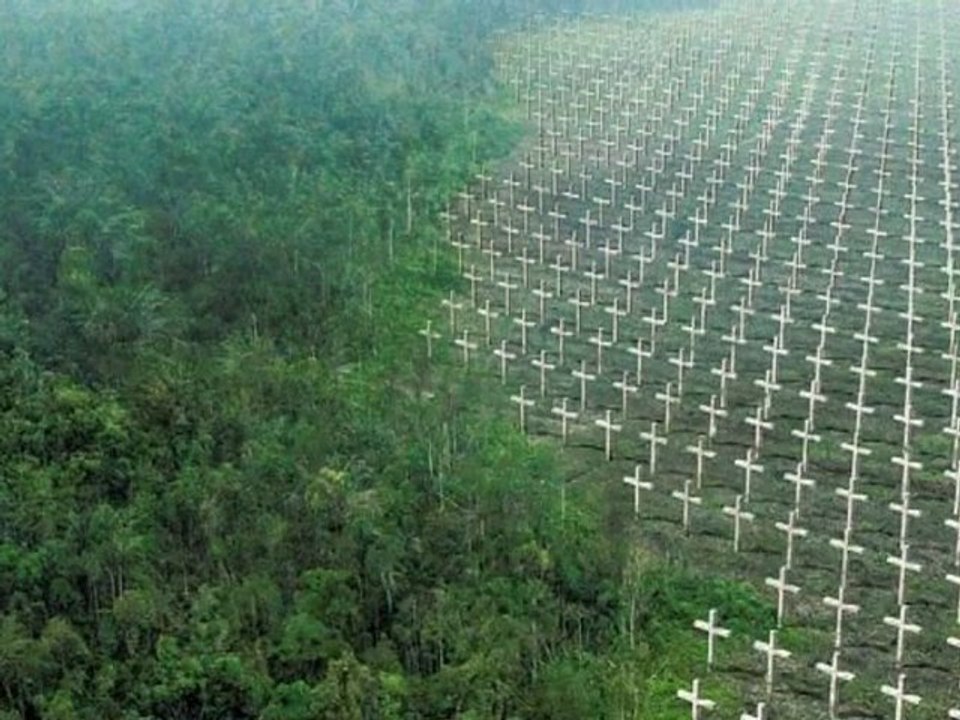 Greenpeace recouvre Paris d’affiches contre la déforestation