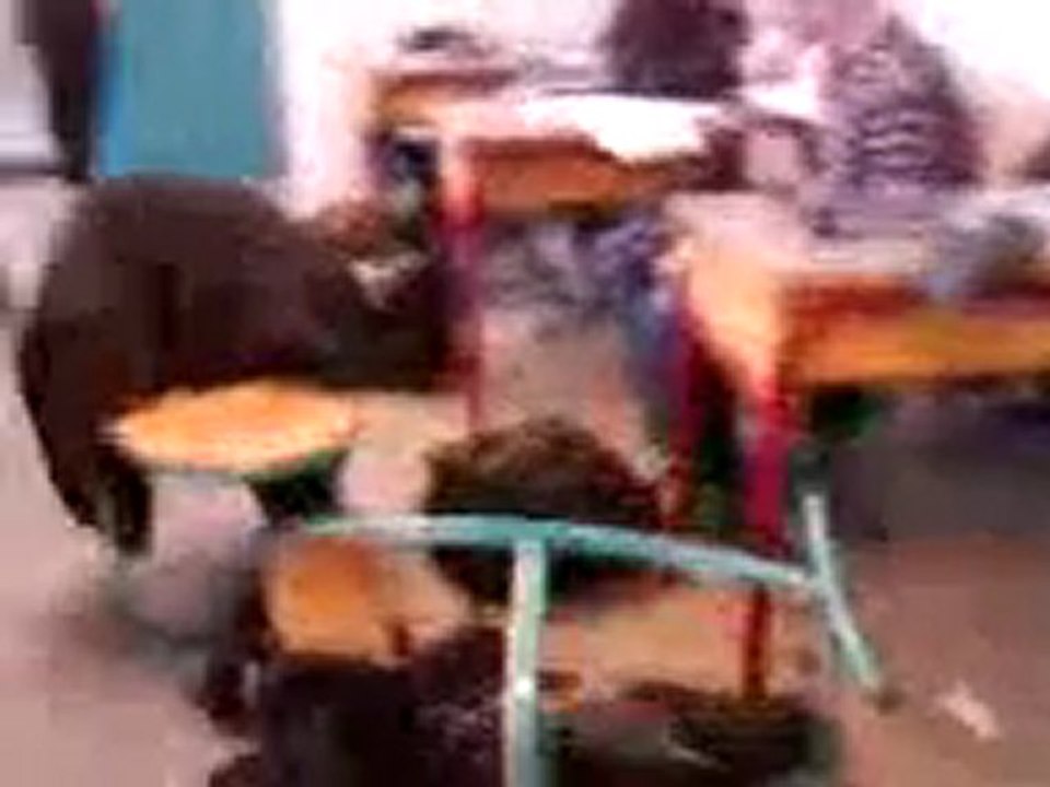 Vidéo 0041
