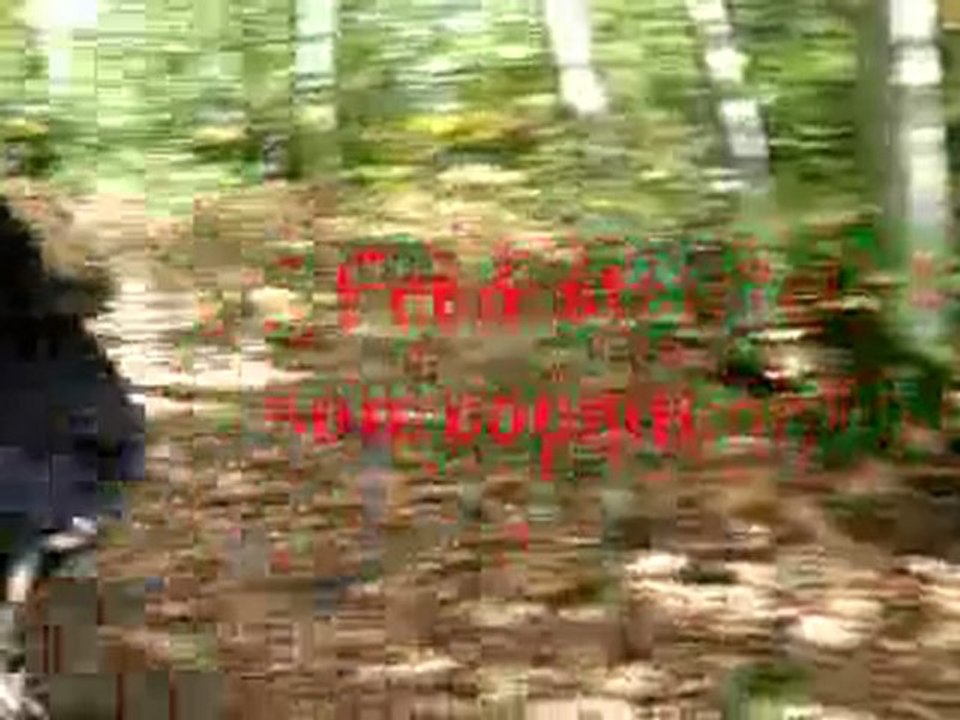 VTTMortagne-2009