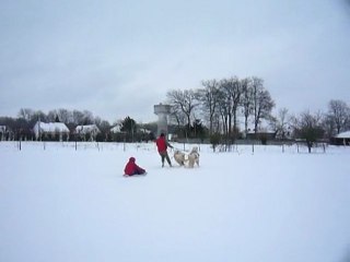 les petits tracte la luge