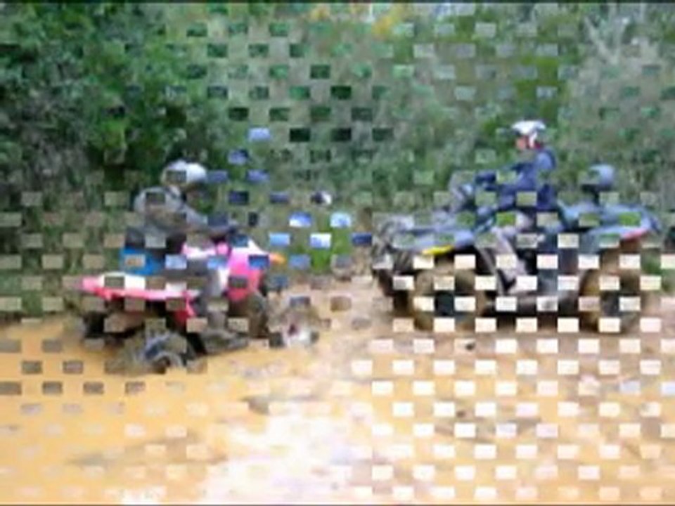 Quad entreprise 2009